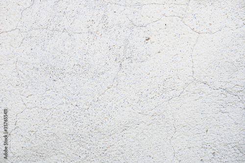 texture primed white wall with small cracks