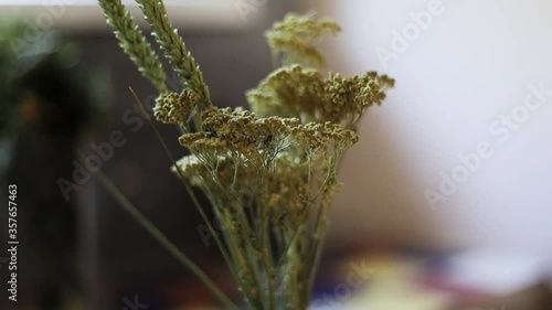 bouquet of herbs 2