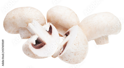 fresh champignon isolated on white background