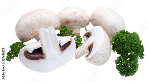 fresh champignons isolated on white background