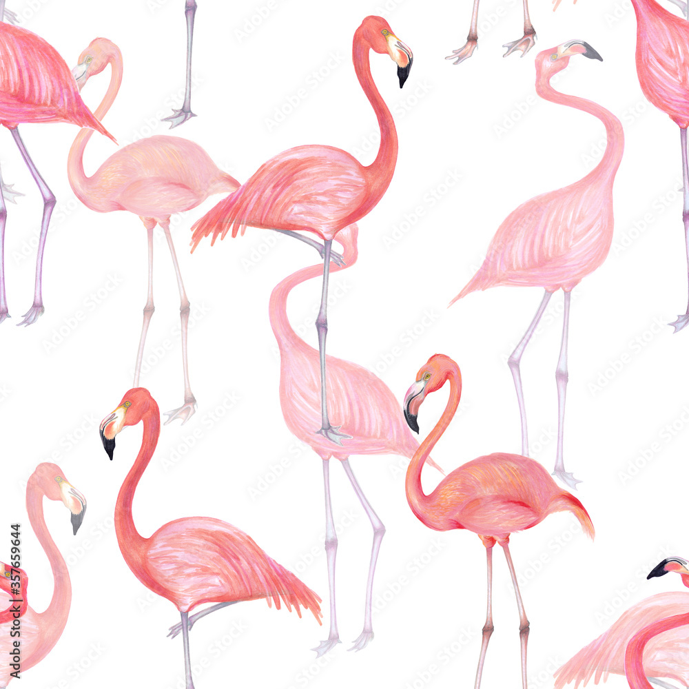 Obraz premium Watercolor illustration of pink flamingo bird seamless pattern.