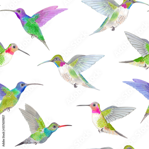 Watercolor tropical humminbird colibri birds seamless pattern. © Kamila