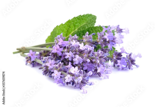 Lavender flowers with leaves