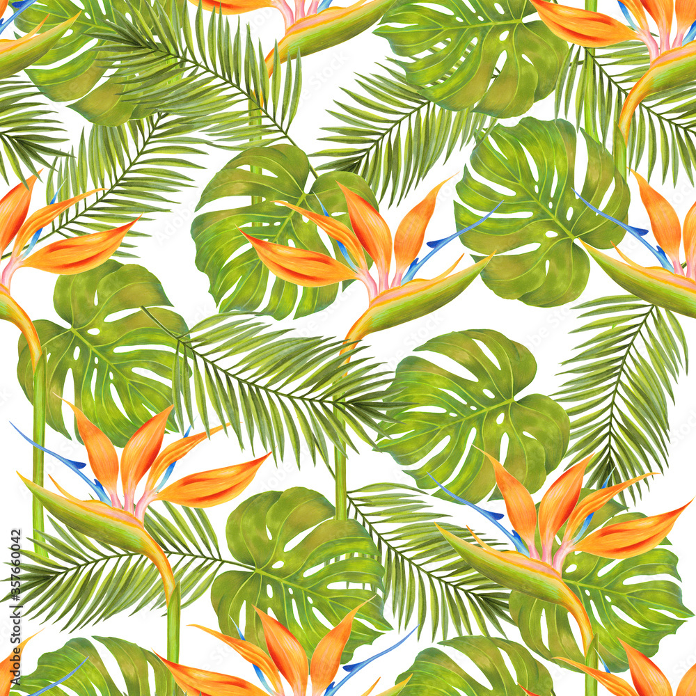 Seamless green philodendron fern leaf, areca palm, strelitzia flower Hawaiian pattern. Natural simple background on white. Hand drawn leaves tropical pattern. Seamless green philodendron fern leaf, areca palm, strelitzia flower Hawaiian pattern. Natural simple background on white. Hand drawn leaves tropical pattern.