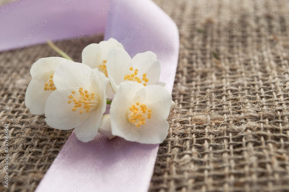 jasmin flower on stylish cloth with a ribbon jasmin flower on stylish cloth with a ribbon