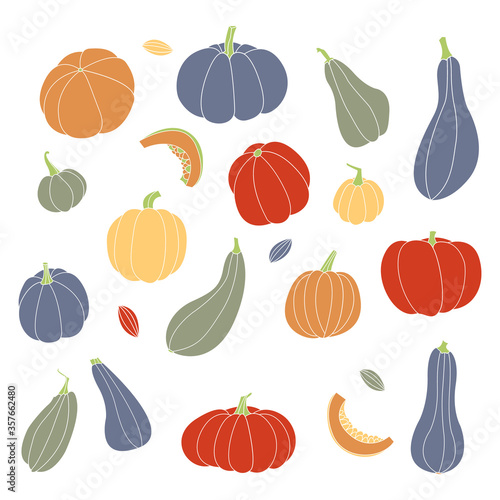Pumpkin, squash, zucchini, marrow. Various shapes and colors. Perfect for autumn decorative design, thanksgiving and halloween invitation, harvest. Vector flat illustration