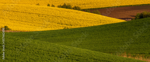panorama of beautiful spring fields on the rolling hills