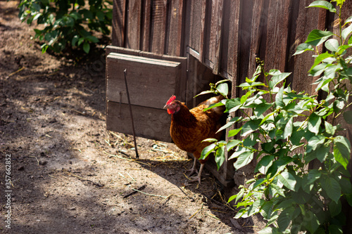 hen leaving the house