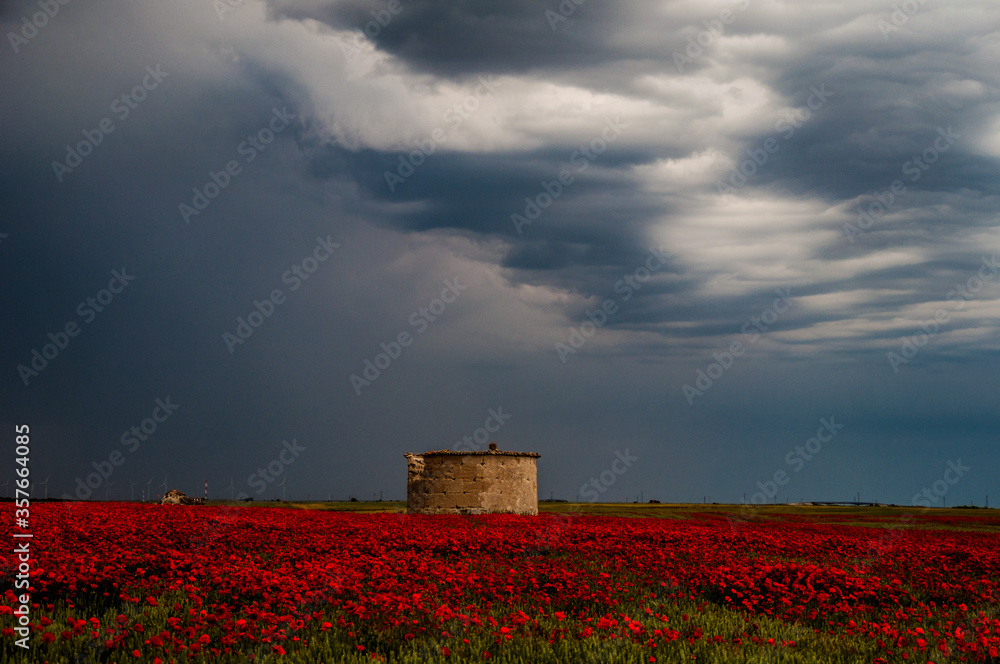 Fototapeta premium Palomar típico castellano-leones entre amapolas y el contraste de la tormenta.