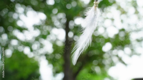 White feather swaying in the wind with a green background.