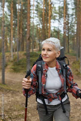 Obraz na plátne Vertical image of self determined sporty mature female with short haircut carrying camping gear using sticks for nordic walking, hiking in forest
