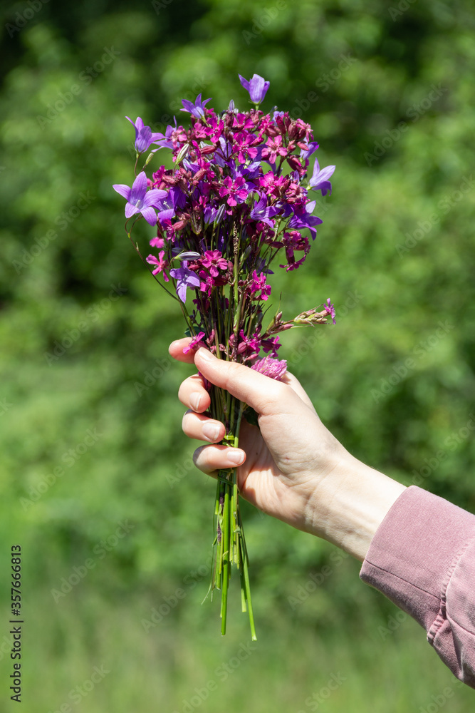 purple and pink wildflowers in hand on a green background