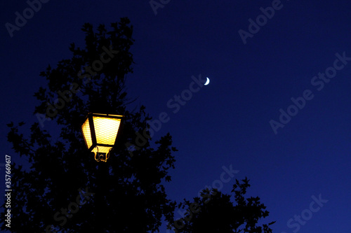 Fotografie dark blue sky with tree and lamppost lit by moonlight