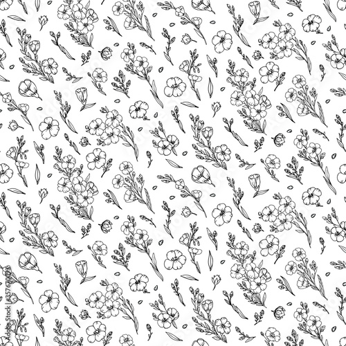 Linen seed and Flax flower on thin stem monochrome hand drawn sketch pattern