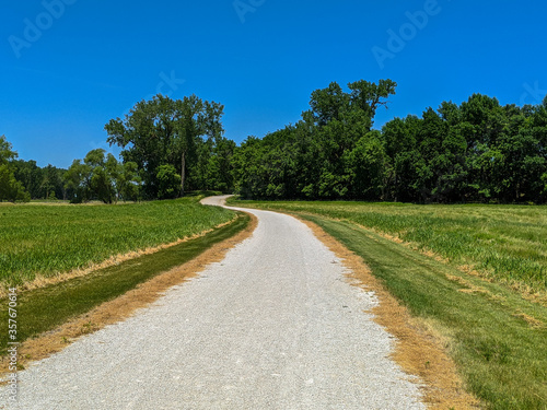 forest path in countryside