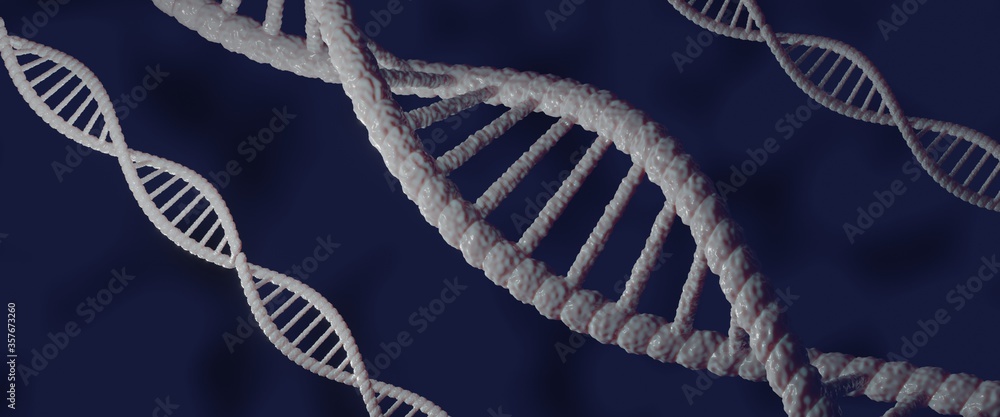 DNA molecule in 3d illustration