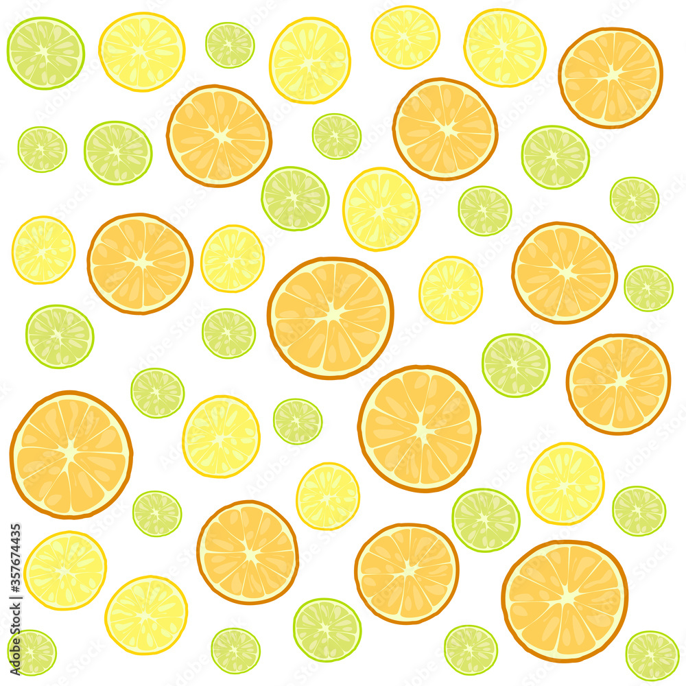 set of slice of citrus tropical fruits