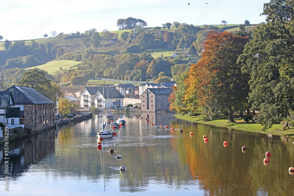 Fototapeta premium Trees reflected in the River Dart at Totnes 