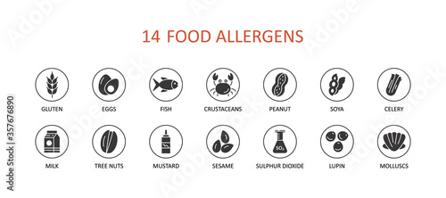 Food allergens set icons. Glyph vector infographic banner. Gluten free eggs fish clams soy mustard. Milk lupine celery peanuts nuts sesame sulphur dioxide crustaceans
