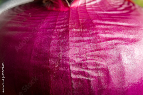 Red onion close-up. The texture is clearly visible.