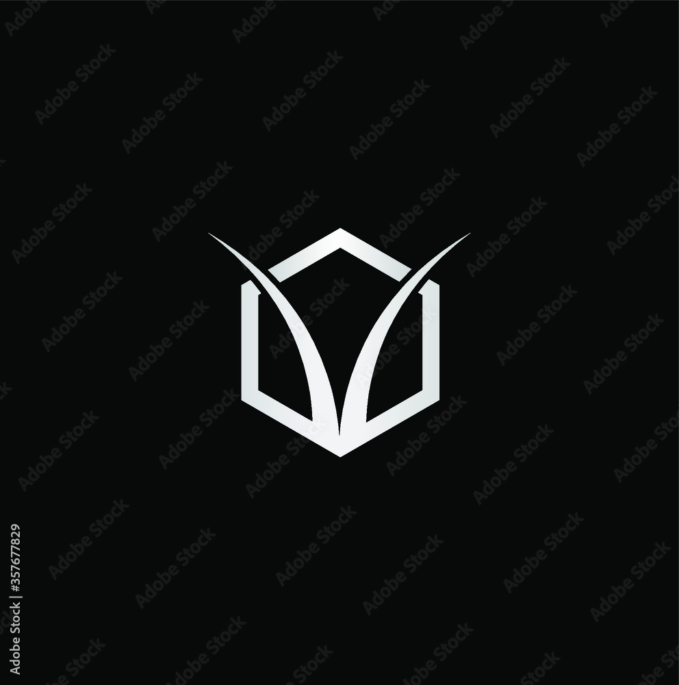 Abstract letter V logo