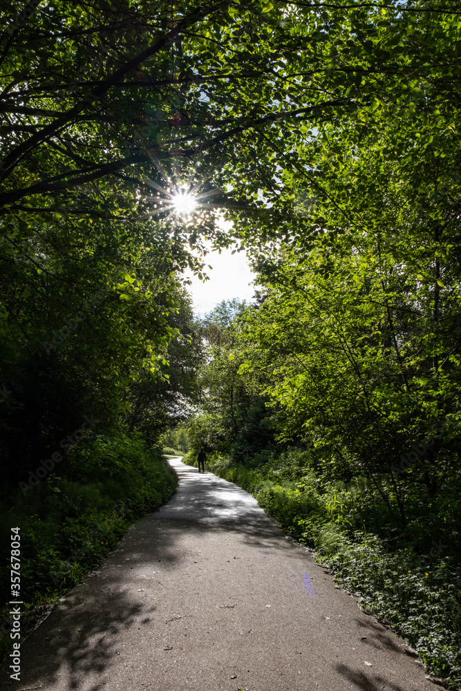 trail around small park covered with green foliage while sunlight shines through the gaps of leaves