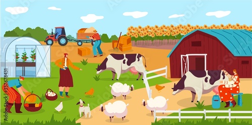 People work on farm, animals cartoon characters, woman milking cow, field harvest vector illustration. Farmers rural lifestyle, agricultural farmland workers, livestock cattle and vegetable greenhouse © Seahorsevector