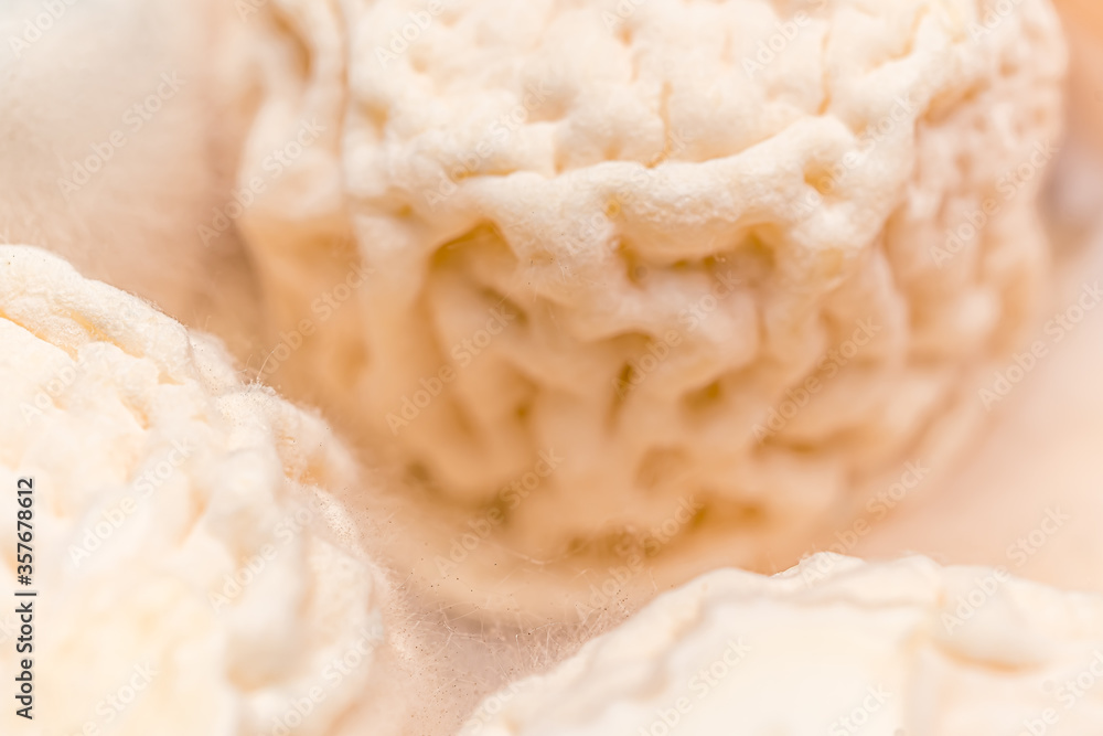 French cheese Goat Croutting. Healthy food. Natural product. French cheese Goat Croutting. Healthy food. Natural product.