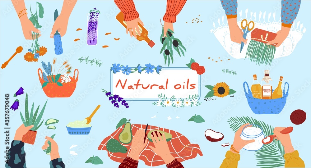 Natural oils workshop, organic handmade cosmetics from eco ingredients, people hands, vector illustration. Hand drawn process of creating essence from flowers, aloe ar avocado. Handcraft hobby cartoon