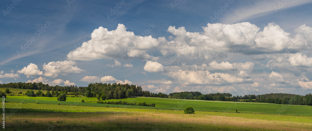 landscape with blue sky and clouds - panorama of rural countryside with field and forest