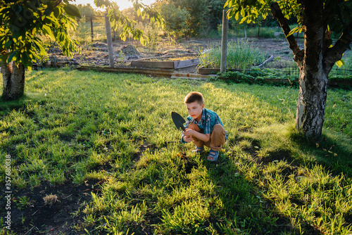 A cute little boy is planting sprouts in the garden at sunset. Gardening, and agriculture.