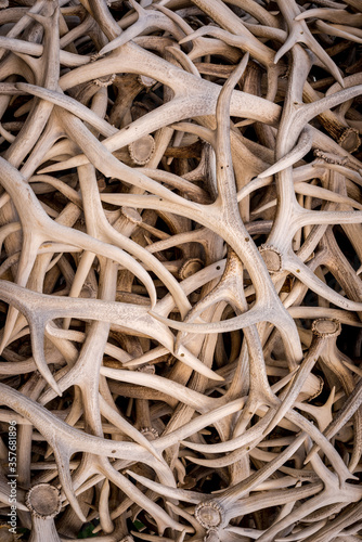 Stack of elk antlers in Jackson  Wyoming  creating an abstract background for hunting or wildlife