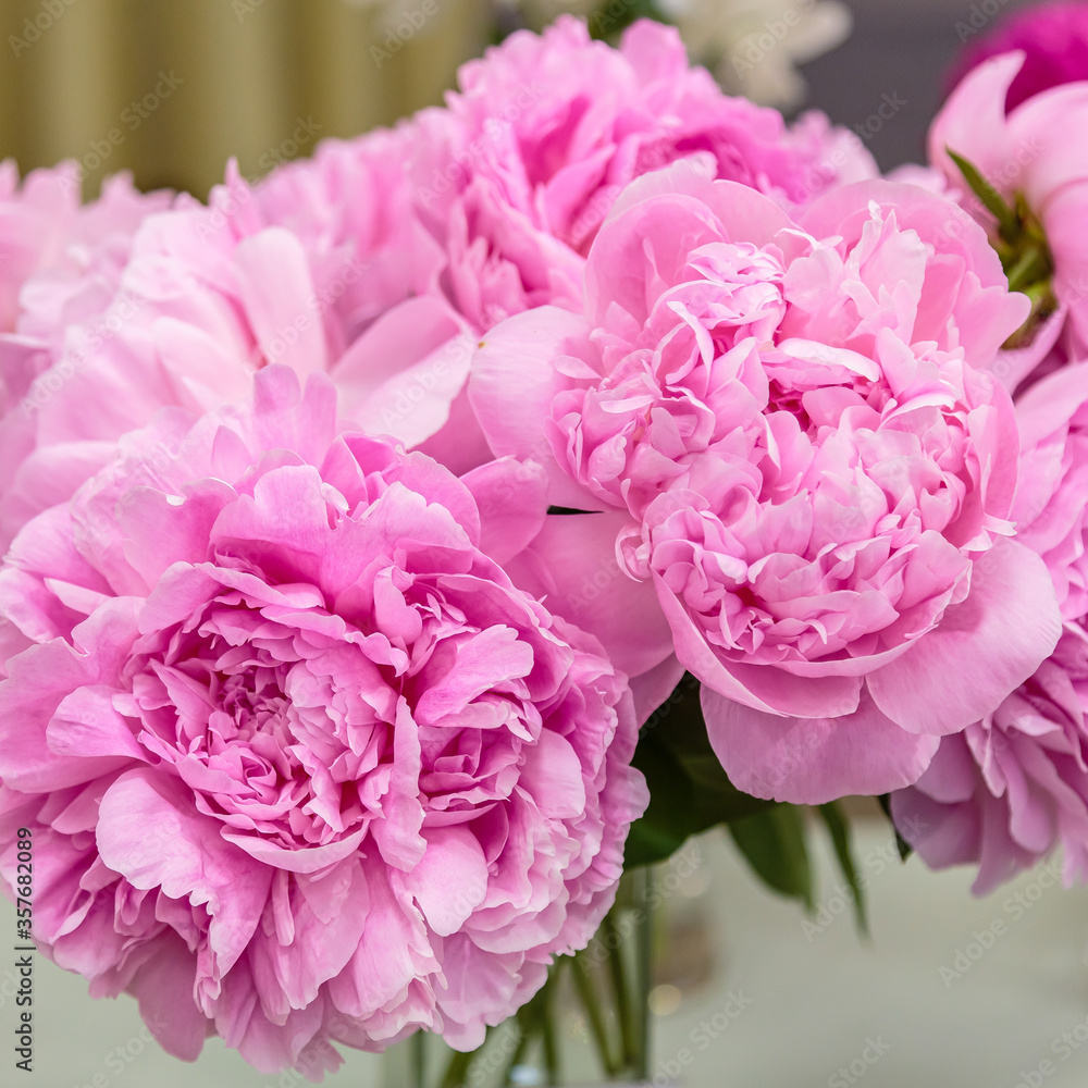 Beautiful bouquet of pink peonies close up