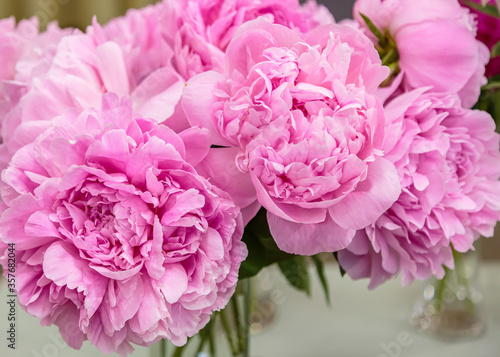  Beautiful pink bouquet of peonies close up