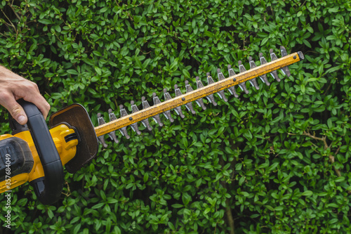 Hand holding running hedge trimmer 