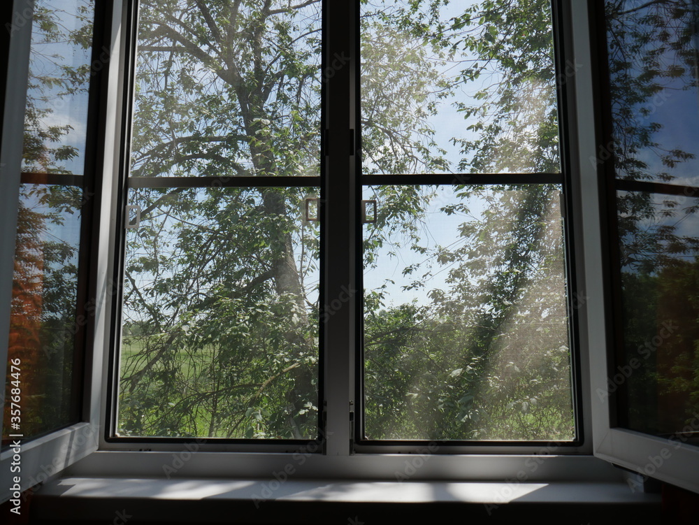 Fototapeta premium window and sky