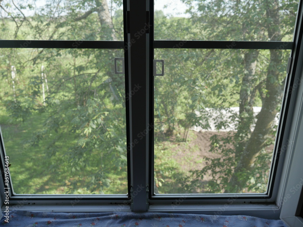 window in the morning window in the morning