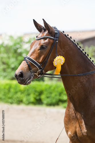 Turnierreiten Pferdesport Dessur reiten sportlich  © Ines Hasenau