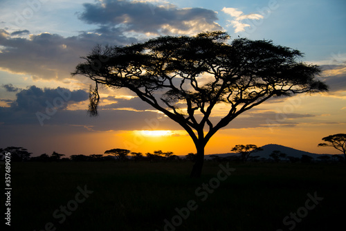 Sunset in The Serengeti National Park. Tanzania, Africa