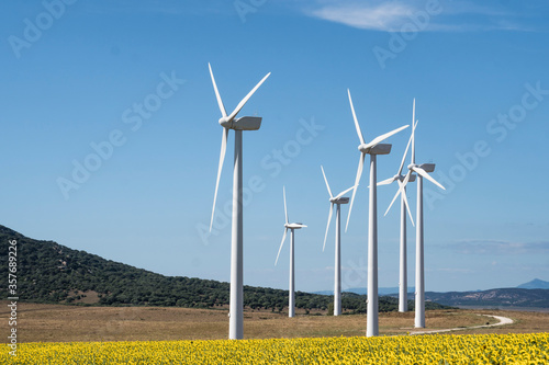 Molinos de viento sobre campo de girasoles