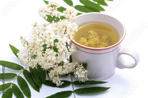 Rowan flower tea cup isolated on a white background