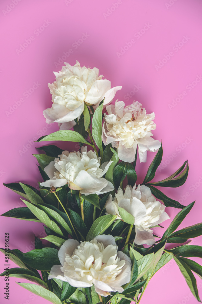 Flat lay composition with white peony flowers on a pink background