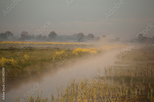morning meadows, ochtend veld