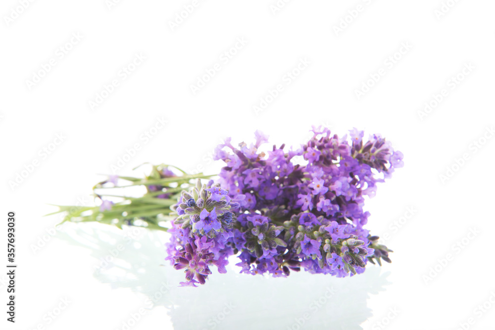Bouquet Purple Lavender Bouquet Purple Lavender