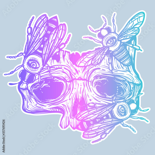 Vector print with a human skull and bee. Gothic brutal skull. For print t-shirts or book coloring.