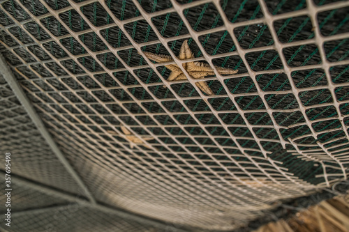 Starfish behind a rope net under an umbrella in Greece