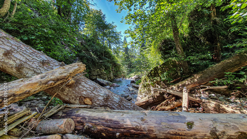 Hike to the waterfalls in the resort of Rosa Khutor