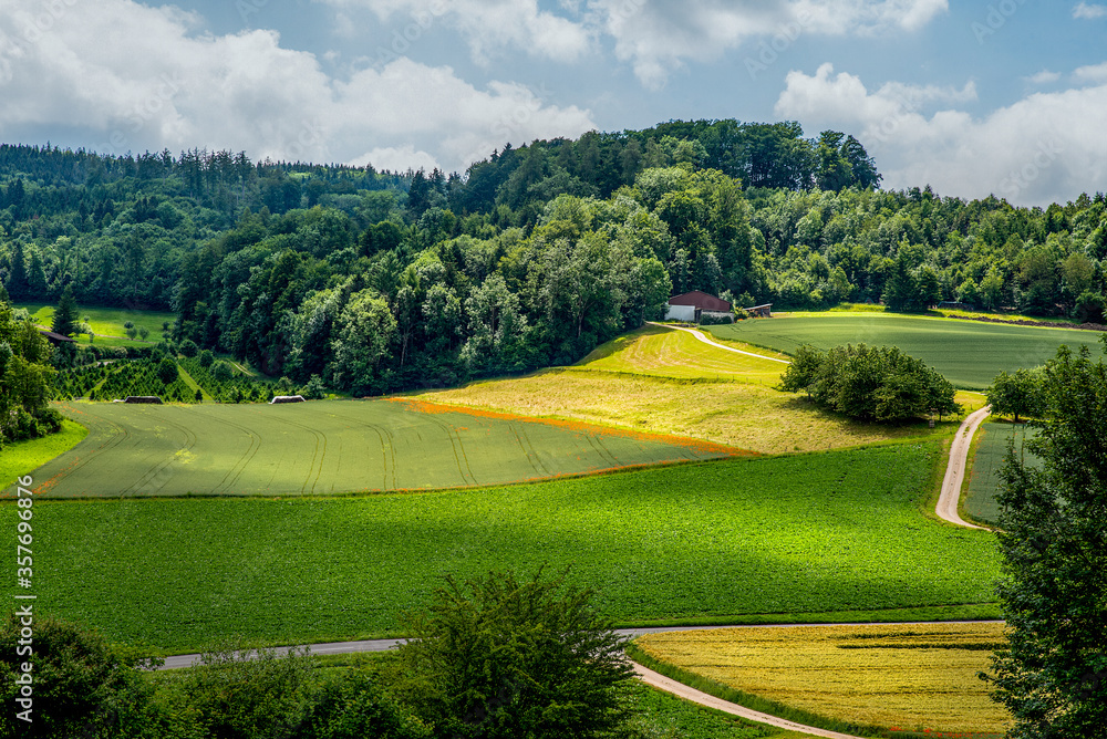 landscape in the summer. Agricultural field, trees, roads, sky and clouds in Switzerland..