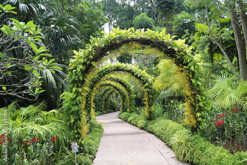 Arcade végétale du jardin aux orchidées à Singapour