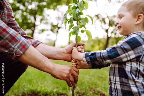 Little boy helping his grandfather to plant the tree while working together in the garden. Fun little gardener. Spring concept, nature and care.